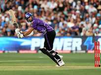 新和资金紧 新和资金紧